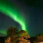Arctic Sealodge Malangen 4 Saeterbergan Apartment *