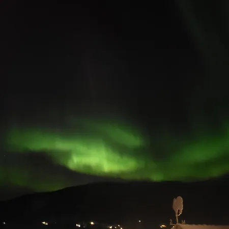 Appartamento Arctic Sealodge Malangen 4 Saeterbergan *