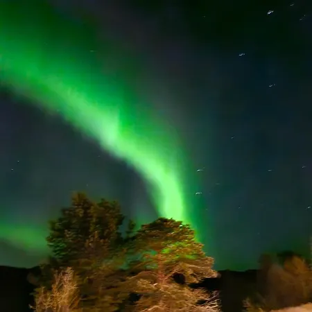 Arctic Sealodge Malangen 4 Saeterbergan Appartamento *