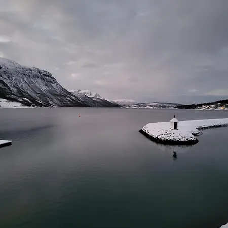 Arctic Sealodge Malangen 4 Saeterbergan Appartamento