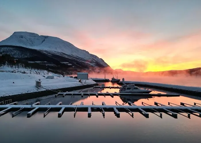 Arctic Sealodge Malangen 4 Saeterbergan Appartamento Sorelvmo