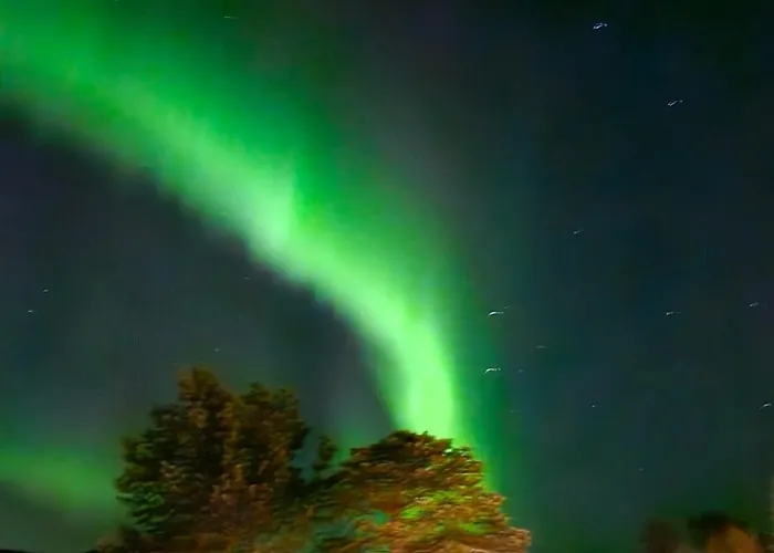 Arctic Sealodge Malangen 4 Saeterbergan Appartamento *