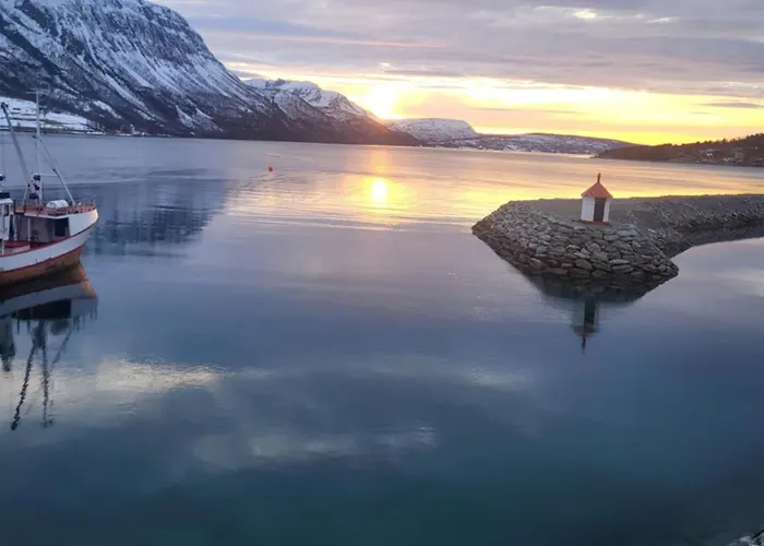 Arctic Sealodge Malangen 4 Saeterbergan