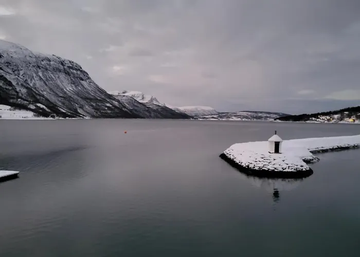 Arctic Sealodge Malangen 4 Saeterbergan Appartamento