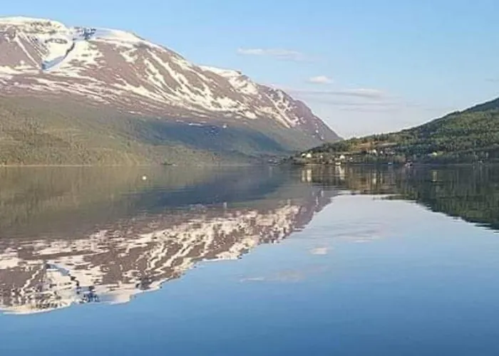 Arctic Sealodge Malangen 4 Saeterbergan